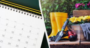 У ці 5 днів у серпні рослини “спатимуть”: посівний календар на місяць У-ці-5-днів-у-серпні-рослини-“спатимуть”:-посівний-календар-на-місяць