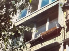 У Києві жінка викинула собаку з балкона: загроза до 8 років ув’язнення У-Києві-жінка-викинула-пінчера-з-балкона-під-час-застілля:-собака-загинув,-винуватиці-загрожує-до.