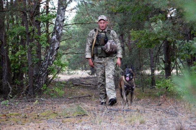 «Працює як пилосмок»: малінуа Агрес допомагає волинським прикордонникам ловити порушників «Працює-як-пилосмок»:-малінуа-Агрес-допомагає-волинським-прикордонникам-ловити-порушників
