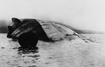 У 1919 році німці затопили власний флот, і через 100 років його сталь стала дуже... У-1919-році-німці-затопили-власний-флот,-і-через-100-років-його-сталь-стала-дуже.