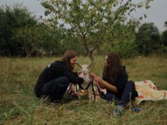 “Кожне життя цінне”: в Україні покажуть документалку про тварин з прифронтових територій “Кожне-життя-цінне”:-в-Україні-покажуть-документалку-про-тварин-з-прифронтових-територій