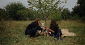 “Кожне життя цінне”: в Україні покажуть документалку про тварин з прифронтових територій “Кожне-життя-цінне”:-в-Україні-покажуть-документалку-про-тварин-з-прифронтових-територій