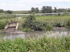 Апеляція майже у 13 разів зменшила стягнення з Луцькводоканалу за загибель риби Апеляція-майже-у-13-разів-зменшила-стягнення-з-Луцькводоканалу-за-загибель-риби