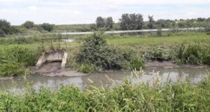 Апеляція майже у 13 разів зменшила стягнення з Луцькводоканалу за загибель риби Апеляція-майже-у-13-разів-зменшила-стягнення-з-Луцькводоканалу-за-загибель-риби