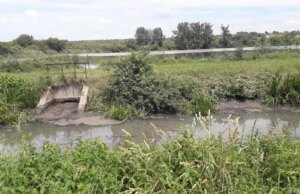 Апеляція майже у 13 разів зменшила стягнення з Луцькводоканалу за загибель риби Апеляція-майже-у-13-разів-зменшила-стягнення-з-Луцькводоканалу-за-загибель-риби