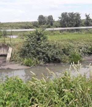 Апеляція-майже-у-13-разів-зменшила-стягнення-з-Луцькводоканалу-за-загибель-риби Апеляція-майже-у-13-разів-зменшила-стягнення-з-Луцькводоканалу-за-загибель-риби