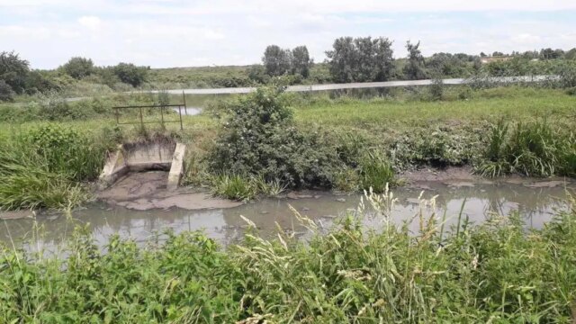Апеляція майже у 13 разів зменшила стягнення з Луцькводоканалу за загибель риби Апеляція-майже-у-13-разів-зменшила-стягнення-з-Луцькводоканалу-за-загибель-риби