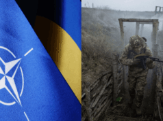 Українські військові навчають НАТО, як воювати роботами, а не солдатами: BI розкрив деталі Українські-військові-навчають-НАТО,-як-воювати-роботами,-а-не-солдатами:-bi-розкрив-деталі