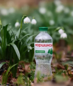 АРМА вийшло на фінал відбору управителя Моршинської
