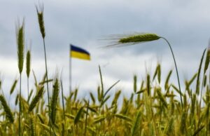 Криза експорту зерна: українські фермери стикаються з серйозними проблемами через атаки на порти Експорт-зерна-Чорним-морем-зупинився.-Як-виживають-українські-фермери?