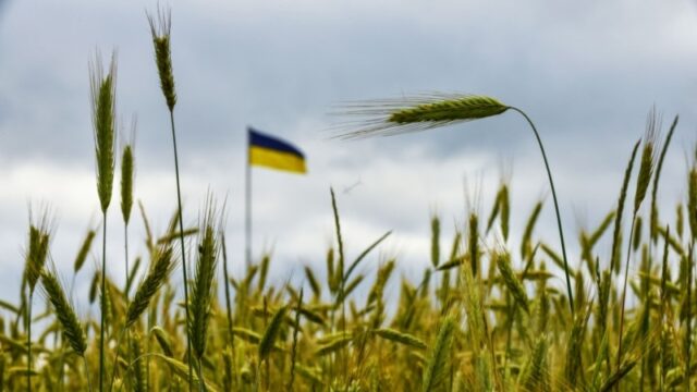 Криза експорту зерна: українські фермери стикаються з серйозними проблемами через атаки на порти Експорт-зерна-Чорним-морем-зупинився.-Як-виживають-українські-фермери?