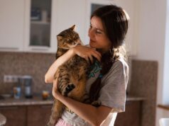 7 порід котів, які стануть вашою пухнастою тінню: не відходять від господаря ні на крок 7-порід-котів,-які-стануть-вашою-пухнастою-тінню:-не-відходять-від-господаря-ні-на-крок