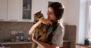 7 порід котів, які стануть вашою пухнастою тінню: не відходять від господаря ні на крок 7-порід-котів,-які-стануть-вашою-пухнастою-тінню:-не-відходять-від-господаря-ні-на-крок