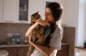 7 порід котів, які стануть вашою пухнастою тінню: не відходять від господаря ні на крок 7-порід-котів,-які-стануть-вашою-пухнастою-тінню:-не-відходять-від-господаря-ні-на-крок