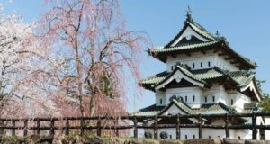 У Японії 1800 людей вручну перетягнули 360-тонну вежу старовинного замку У-Японії-1800-людей-вручну-перетягнули-360-тонну-вежу-старовинного-замку