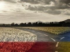 Українка з Польщі запитала, що та чому вона винна Україні: допис збурив Мережу Українка-з Польщі-запитала,-що та чому-вона-винна-Україні:-допис-збурив-Мережу