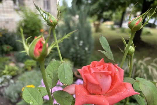 Дощі з грозами накриють південь України 28 серпня Дощі з грозами накриють південь України 28 серпня