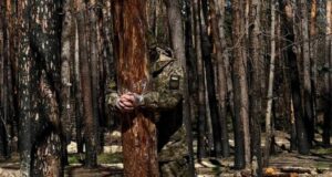 Систематичні порушення прав військовослужбовців у 225-му окремому штурмовому полку ЗСУ «Мене-переламало-після-цього-«дерева-правди»:-нові-свідчення-бійців-та-їхніх-родин-про-225-й-ОШП