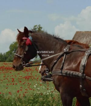 «Трохи-вбік»:-вийшов-перший-випуск-тревел-проєкту-про-Волинське-Полісся.-Відео «Трохи-вбік»:-вийшов-перший-випуск-тревел-проєкту-про-Волинське-Полісся.-Відео