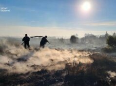 Горіли солома, торф і чагарники: на Волині вчора сталося 6 пожеж Горіли-солома,-торф-і-чагарники:-на-Волині-вчора-сталося-6-пожеж