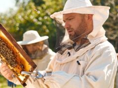 Ветеран Олександр Федоров запускає соціальний проєкт “Пасіка відновлення” для ветеранів на Львівщині «Пасіка-відновлення».-Як-ветеран-з-Одещини-створив-простір-для-військових