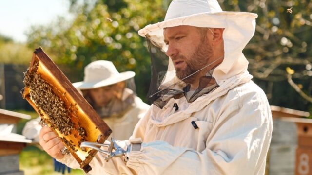 Ветеран Олександр Федоров запускає соціальний проєкт “Пасіка відновлення” для ветеранів на Львівщині «Пасіка-відновлення».-Як-ветеран-з-Одещини-створив-простір-для-військових