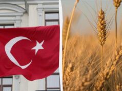 Туреччина оголосила про свій план по відновленню експорту зерна Чорним морем Туреччина-оголосила-про-свій-план-по-відновленню-експорту-зерна-Чорним-морем