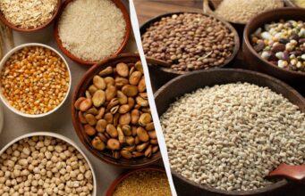 Не лише овес і пшениця: сім цільнозернових продуктів для зниження рівня холестерину Не-лише-овес-і-пшениця:-сім-цільнозернових-продуктів-для-зниження-рівня-холестерину