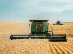 Світові ціни на агропродукцію різко зросли до максимуму за 14 років Світові ціни на агропродукцію різко зросли до максимуму за 14 років
