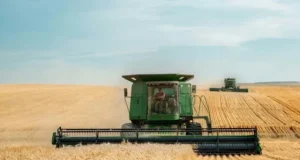 Світові ціни на агропродукцію різко зросли до максимуму за 14 років Світові ціни на агропродукцію різко зросли до максимуму за 14 років
