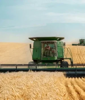 Світові ціни на агропродукцію різко зросли до максимуму за 14 років