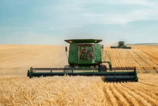 Світові ціни на агропродукцію різко зросли до максимуму за 14 років Світові ціни на агропродукцію різко зросли до максимуму за 14 років
