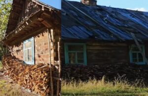 В Україні є поселення з єдиною хатою і жителькою: хто в ній мешкає В-Україні-є-поселення-з-єдиною-хатою-і-жителькою:-хто-в-ній-мешкає