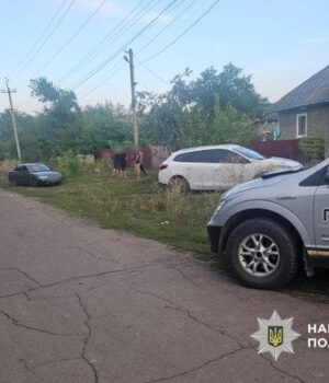 Працівник-ТЦК-зніс-своїм-авто-дворічну-дитину-і втік:-деталі-та фото