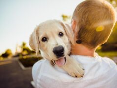 Місяць народження вашого улюбленця видасть його характер: перевірте, яким він є насправді Місяць-народження-вашого-улюбленця-видасть-його-характер:-перевірте,-яким-він-є-насправді