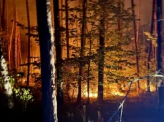 На Харківщині локалізували 8 лісових пожеж На Харківщині локалізували 8 лісових пожеж