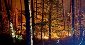 На Харківщині локалізували 8 лісових пожеж На Харківщині локалізували 8 лісових пожеж