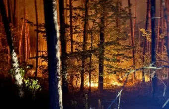 На Харківщині локалізували 8 лісових пожеж На Харківщині локалізували 8 лісових пожеж