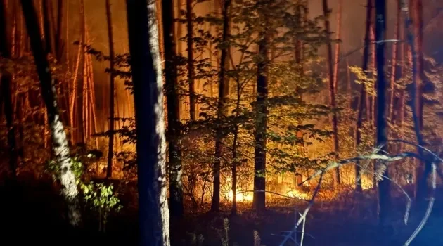 На Харківщині локалізували 8 лісових пожеж На Харківщині локалізували 8 лісових пожеж