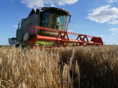 Кабмін України пом’якшив умови для аграріїв: нові терміни розрахунків за експортними контрактами Кабмін дає аграріям пів року на розрахунки за контрактами через блокування портів