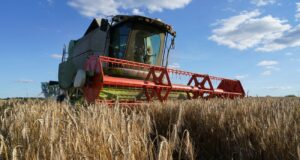 Кабмін України пом’якшив умови для аграріїв: нові терміни розрахунків за експортними контрактами Кабмін дає аграріям пів року на розрахунки за контрактами через блокування портів