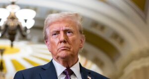 США розробляють новий проект для досягнення миру в Україні Трамп доручив підготувати пакет для миру в Україні, – Кушнер