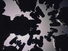 Арсенал на птахофабриці: ССО знищили склад боєприпасів ворога на Луганщині Арсенал-на-птахофабриці:-ССО-знищили-склад-боєприпасів-ворога-на-Луганщині