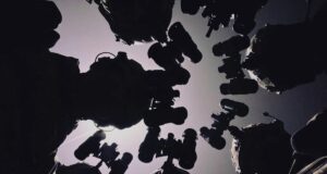 Арсенал на птахофабриці: ССО знищили склад боєприпасів ворога на Луганщині Арсенал-на-птахофабриці:-ССО-знищили-склад-боєприпасів-ворога-на-Луганщині