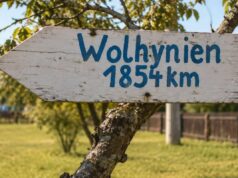 У Німеччині стоїть волинська хата: як вона опинилася за понад 1000 км від рідних земель У-Німеччині-стоїть-волинська-хата:-як-вона-опинилася-за-понад-1000-км-від-рідних-земель