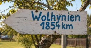 У Німеччині стоїть волинська хата: як вона опинилася за понад 1000 км від рідних земель У-Німеччині-стоїть-волинська-хата:-як-вона-опинилася-за-понад-1000-км-від-рідних-земель