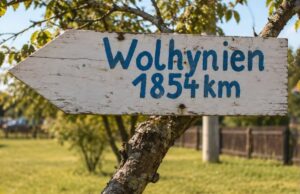 У Німеччині стоїть волинська хата: як вона опинилася за понад 1000 км від рідних земель У-Німеччині-стоїть-волинська-хата:-як-вона-опинилася-за-понад-1000-км-від-рідних-земель