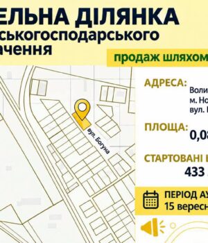 У-Нововолинську-відбудуться-земельні-торги:-продається-ділянка-на-вулиці-Богуна