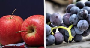 Яблука проти винограду: який продукт кращий для рівня цукру в крові Яблука-проти-винограду:-який-продукт-кращий-для-рівня-цукру-в-крові