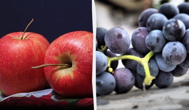 Яблука проти винограду: який продукт кращий для рівня цукру в крові Яблука-проти-винограду:-який-продукт-кращий-для-рівня-цукру-в-крові